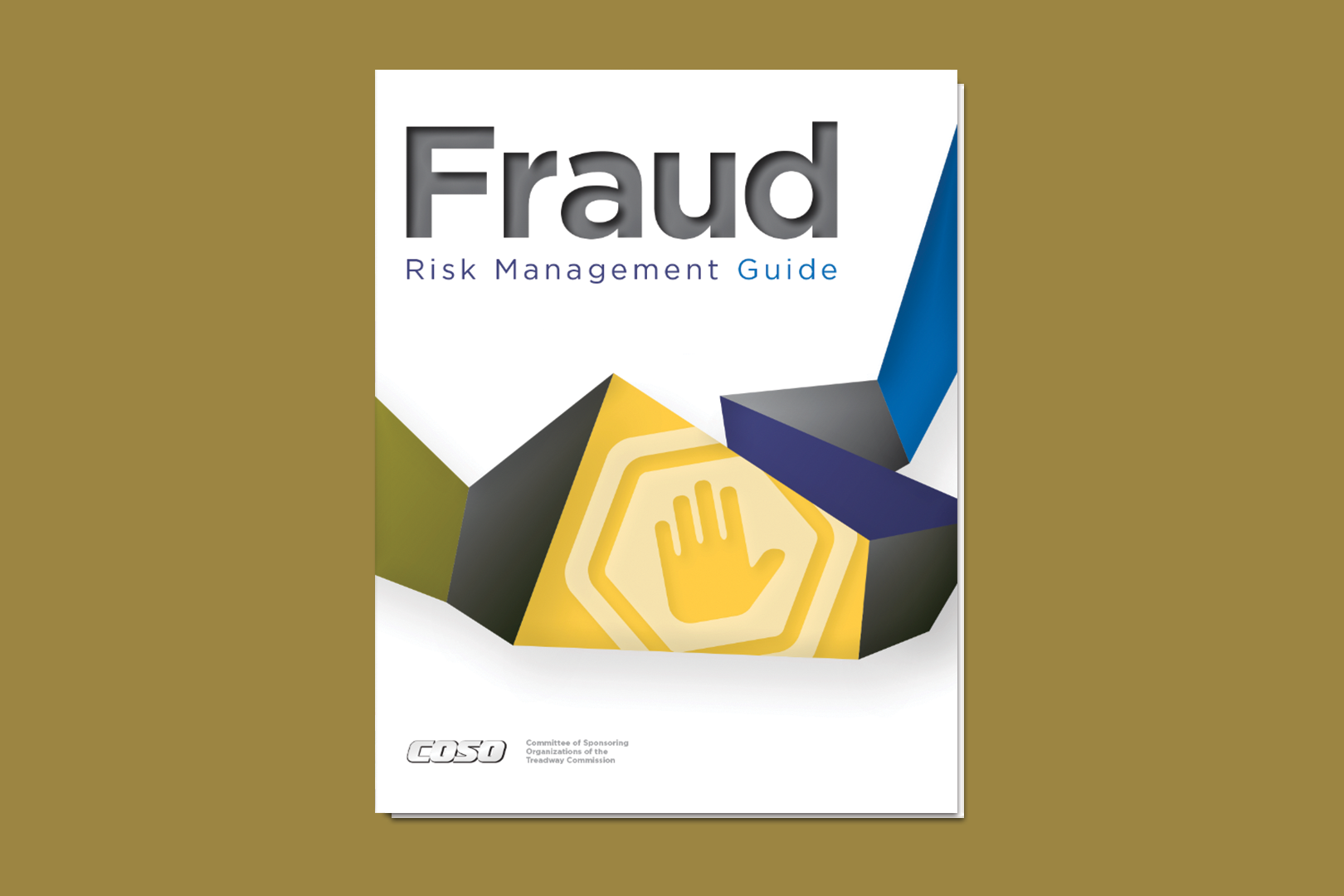 Fraud Risk Management guide cover on a gold background