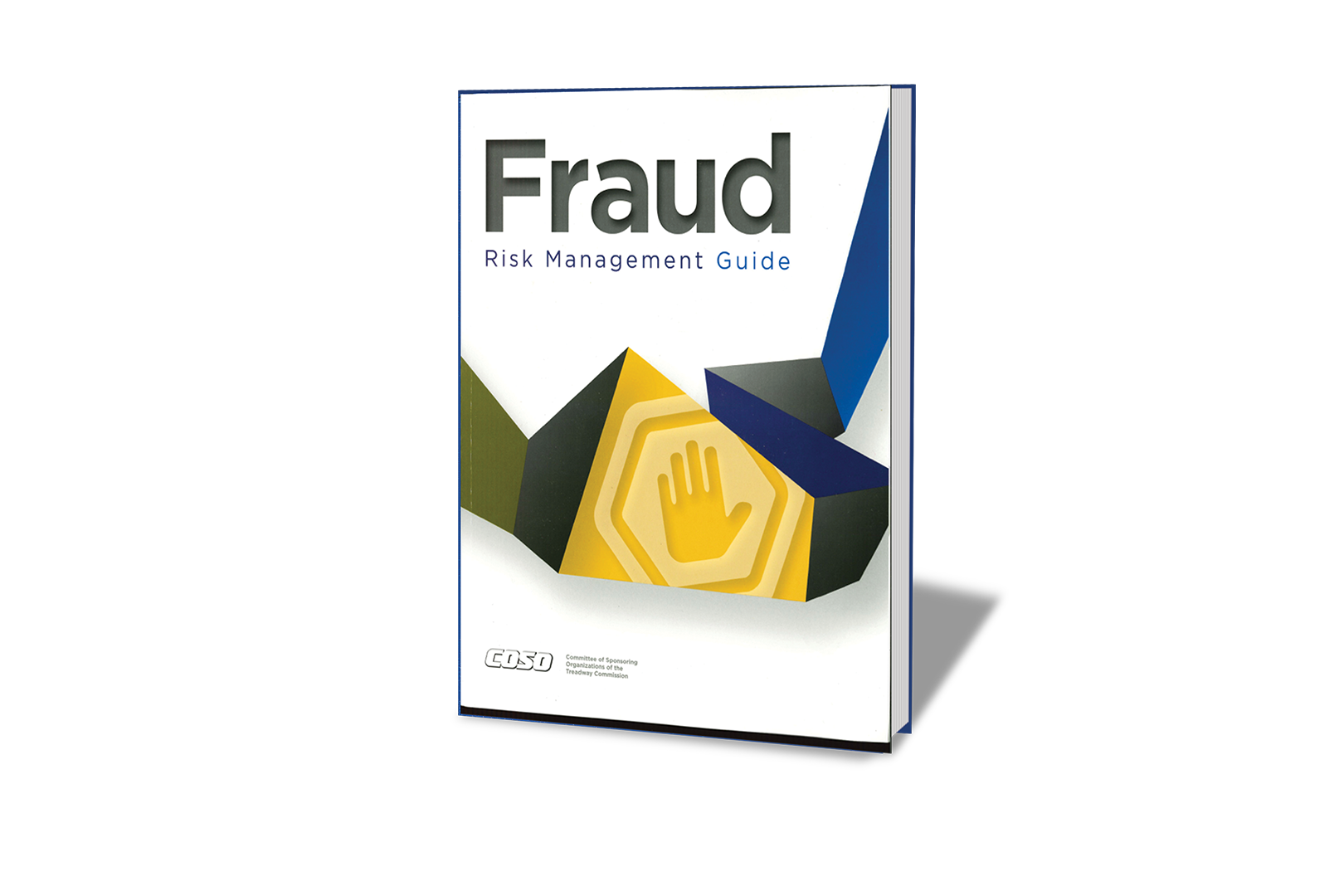 Fraud Risk Management Guide