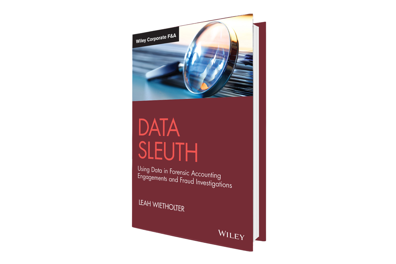 Cover of Data Sleuth 