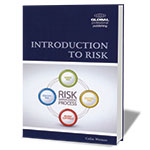 Book cover for Introduction to Risk