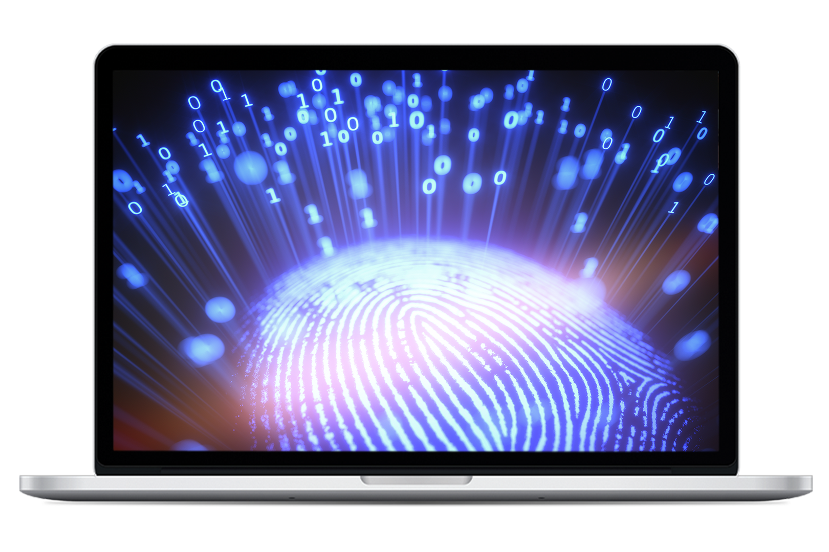 Dusting Your Data for Fraud Fingerprints